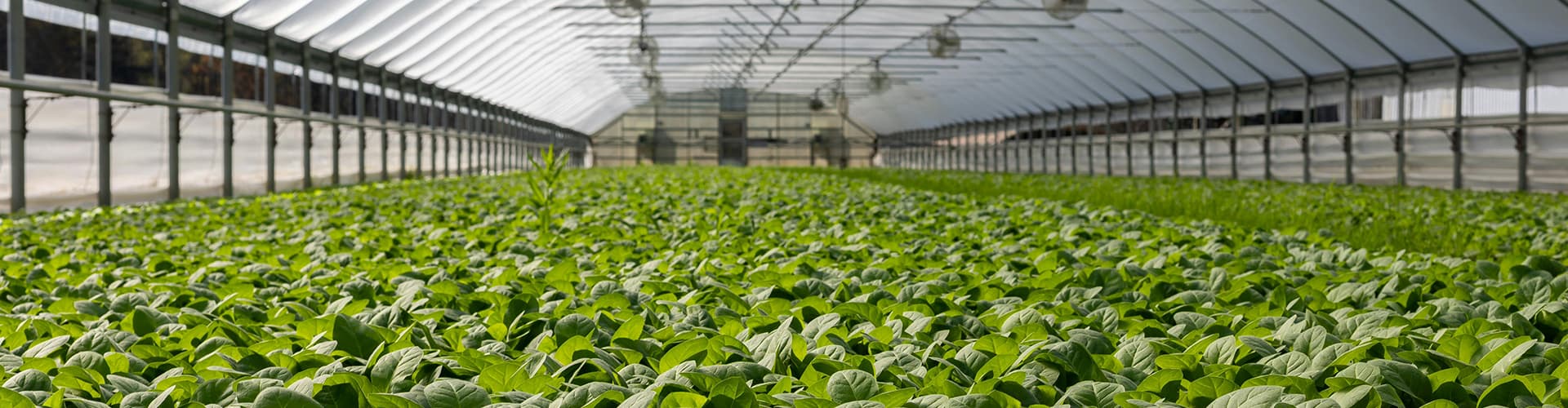 Horticulture Services - service image